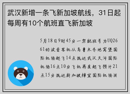 武汉新增一条飞新加坡航线，31日起每周有10个航班直飞新加坡